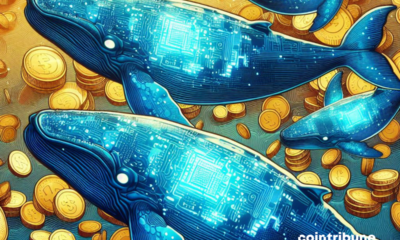 These whales are taking control by massively buying altcoins