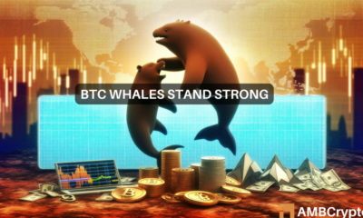 Diving into Bitcoin whale activity: 15 thousand BTC acquired in 2 days