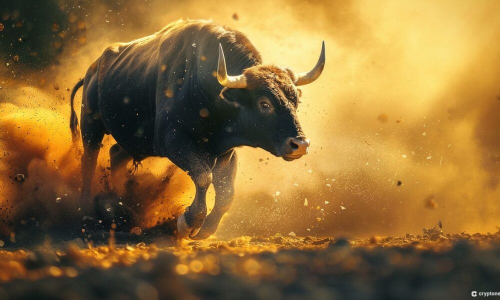 Top 13 Coins to Buy Before The Next Crypto Bull Run