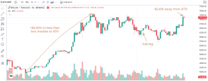 Bitcoin Performance Chart