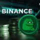 357.3 billion PEPE purchased on Binance after great development of Meme coin