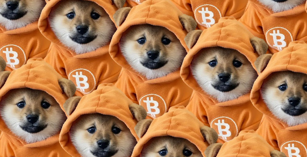 Bitcoin Meme Coins Soar as DOG's 85% Jump Allays 'Runes Are Dead' Fears