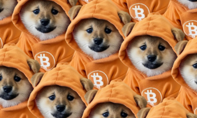 Bitcoin Meme Coins Soar as DOG's 85% Jump Allays 'Runes Are Dead' Fears