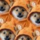 Bitcoin Meme Coins Soar as DOG's 85% Jump Allays 'Runes Are Dead' Fears