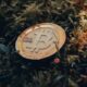 Bitcoin, Ether Record Big Drops, Overall Crypto Chart Reflects Losses