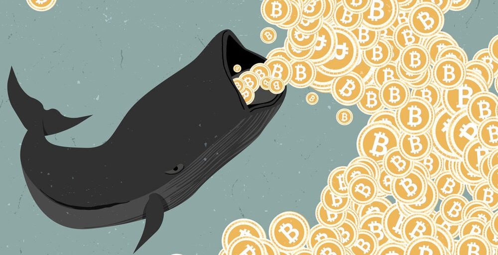 Bitcoin whale moves US$44 million after a decade – see how much he earned