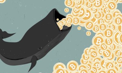 Bitcoin whale moves US$44 million after a decade – see how much he earned