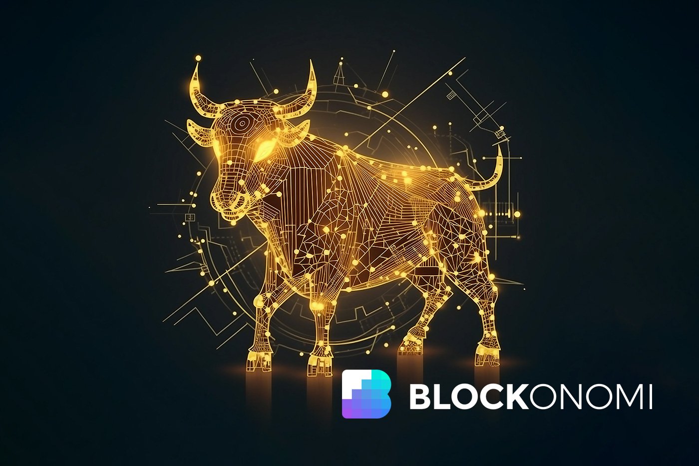 Crypto Bull Run Update: BTC over $100,000, Whales Piling Up and Altcoins Hitting Bottom Shortly Before Breakout