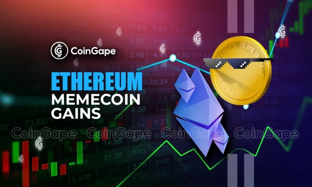 Ethereum Meme Coin Gain: Will Flows Sustain?