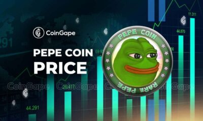 Increase in whaling activity boosts PEPE by US$0.000013 in May?