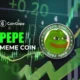 Whales Buy 720 Billion Pepe Coin As PEPE Price Rally Over 100%