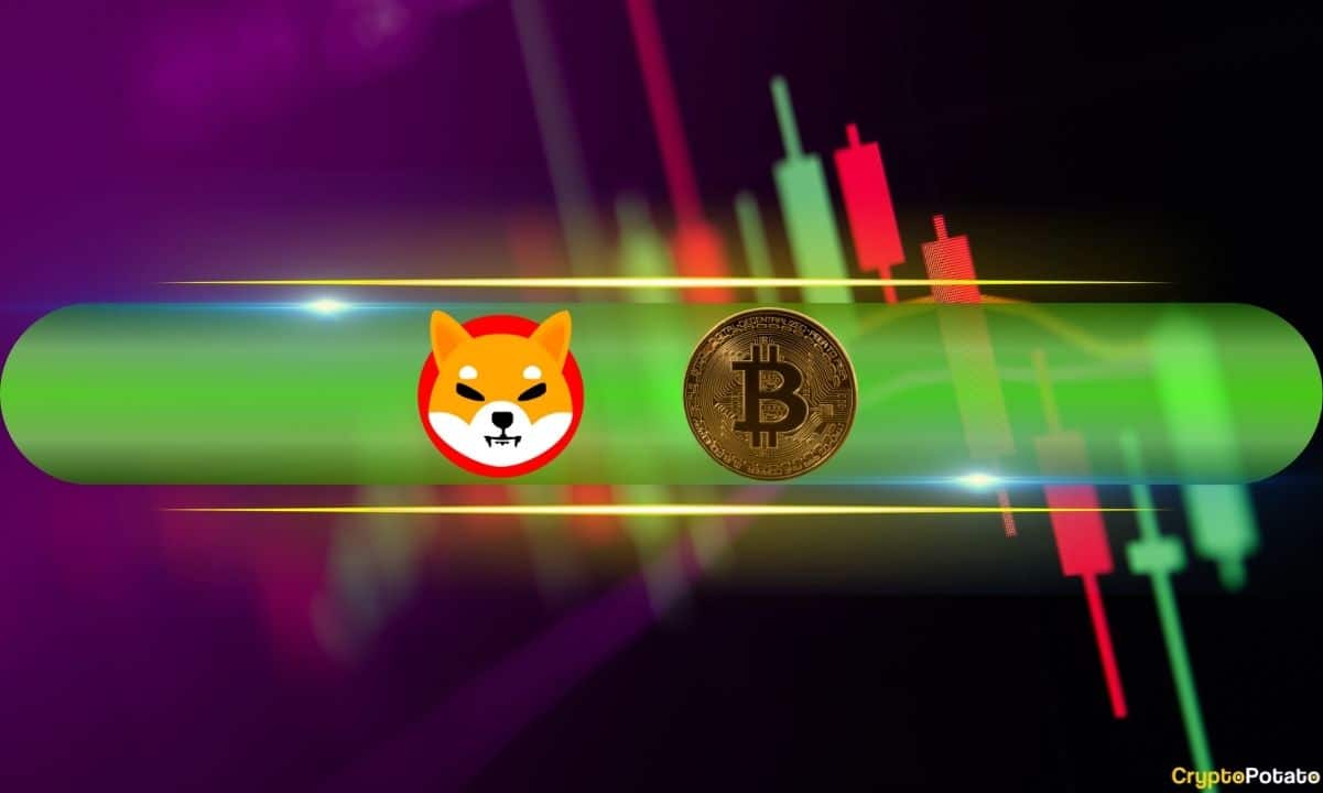 Shiba Inu (SHIB) Explodes 15% Daily, Bitcoin (BTC) Holds $68K (Market Watch)