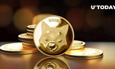 Shiba Inu Secures Elite Status in Market Rankings Among Meme Coins