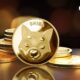 Shiba Inu Secures Elite Status in Market Rankings Among Meme Coins