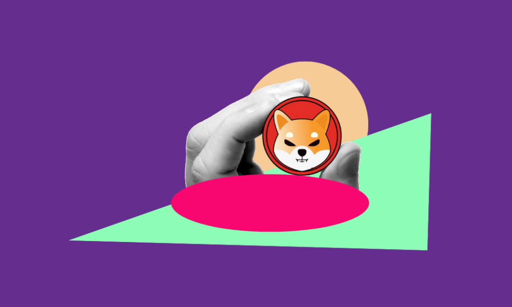 Shiba Inu rises 16%, drops Cardano and enters the Top 10 of crypto