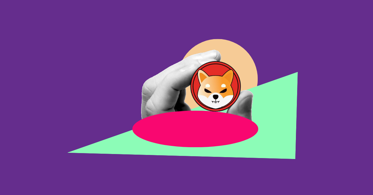 Shiba Inu rises 16%, drops Cardano and enters the Top 10 of crypto