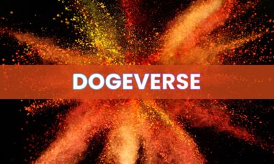 Some traders think Dogeverse could be the next meme coin to explode like Pepe & Floki Pump