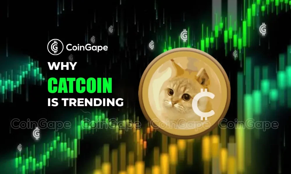 why Catcoin is trending Today