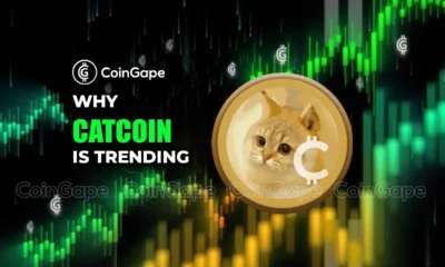 why Catcoin is trending Today