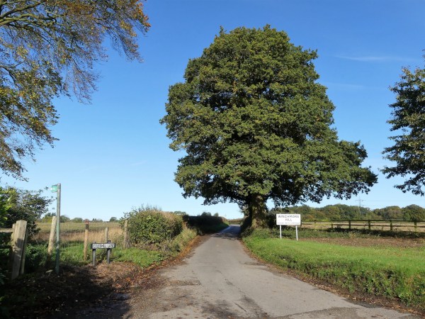 This photo was taken in Winchmore Hill, Buckinghamshire, England, UK