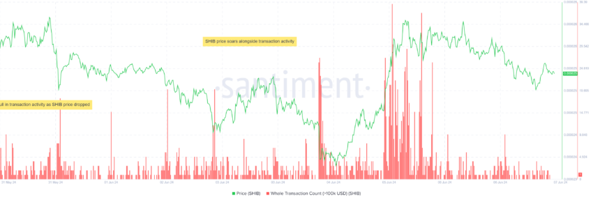 On-chain SHIB data