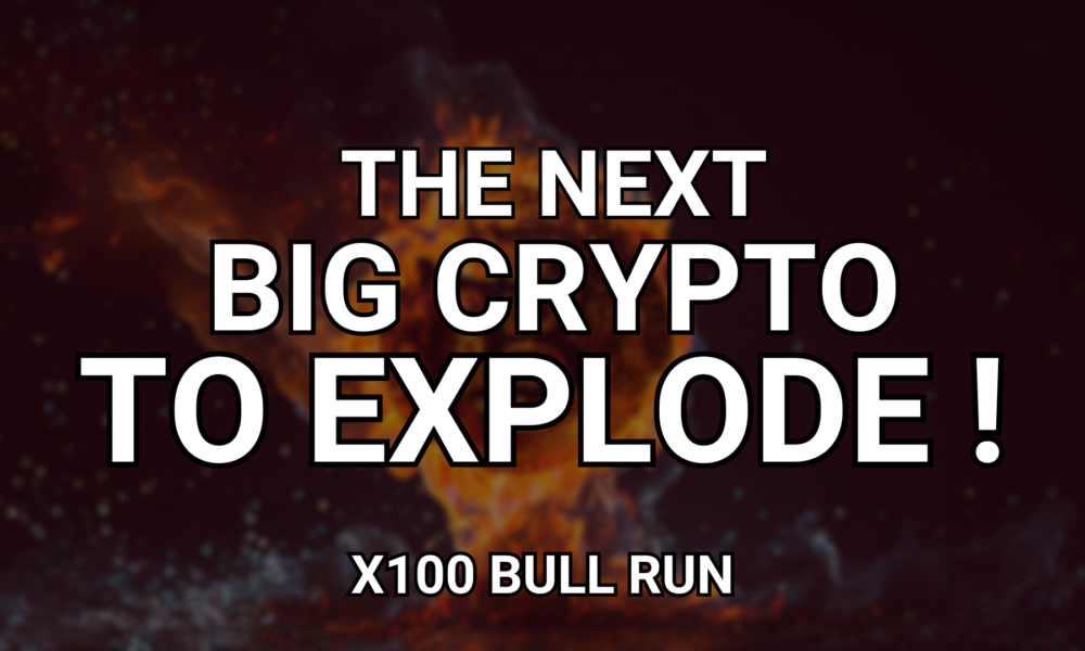 The Next Big Cryptocurrency to Explode in 2024 [x100 Bull Run]