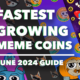 Fast-Growing Meme Coins – Why Brett, ButtChain, Slerf, Beercoin, and Byte Are Among the Best New Fast-Growing Cryptocurrencies