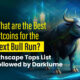 What are the best Altcoins for the next Bull Run?  List of the best 5thScape followed by DarkLume