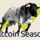 Altcoin Season Is About to Begin as Legendary Analyst Reveals the Exact Month When