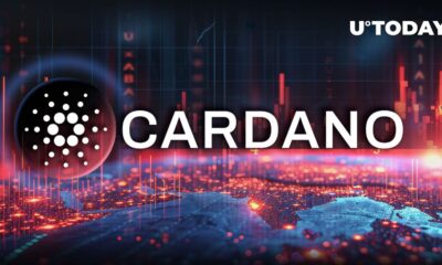 Cardano meme coin drops 96% in an hour after ADA creator says so