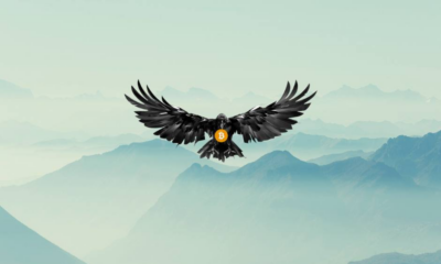 Crypto Raven strives to provide unparalleled services as a leading crypto influencer and industry leader