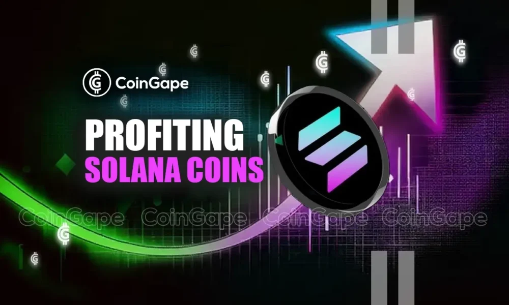 Less Popular But Profitable Solana Coins You May Have Missed