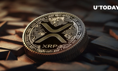 Looking for the next XRP?  Pay attention to meme coins, says top analyst