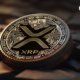 Looking for the next XRP?  Pay attention to meme coins, says top analyst