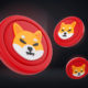 Shiba Army Calls for Burning of Shiba Inu on Binance and Coinbase