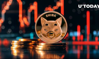 Shiba Inu (SHIB) drops 10% as Meme coins fall