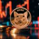 Shiba Inu (SHIB) drops 10% as Meme coins fall