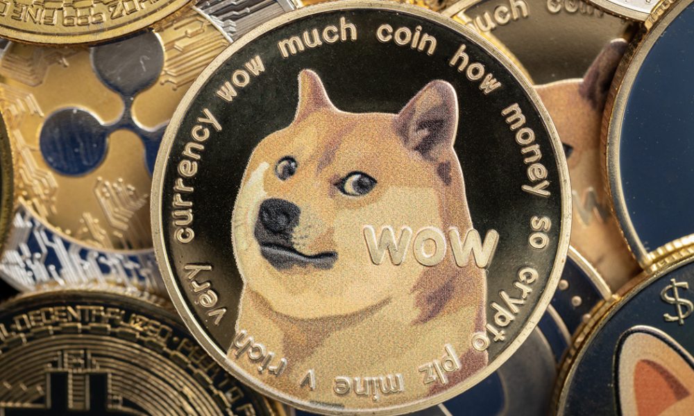 The rise, risks and rewards of meme coins in cryptoculture