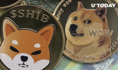 This Bitcoin-based dog coin is taking on DOGE and SHIB