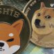 This Bitcoin-based dog coin is taking on DOGE and SHIB