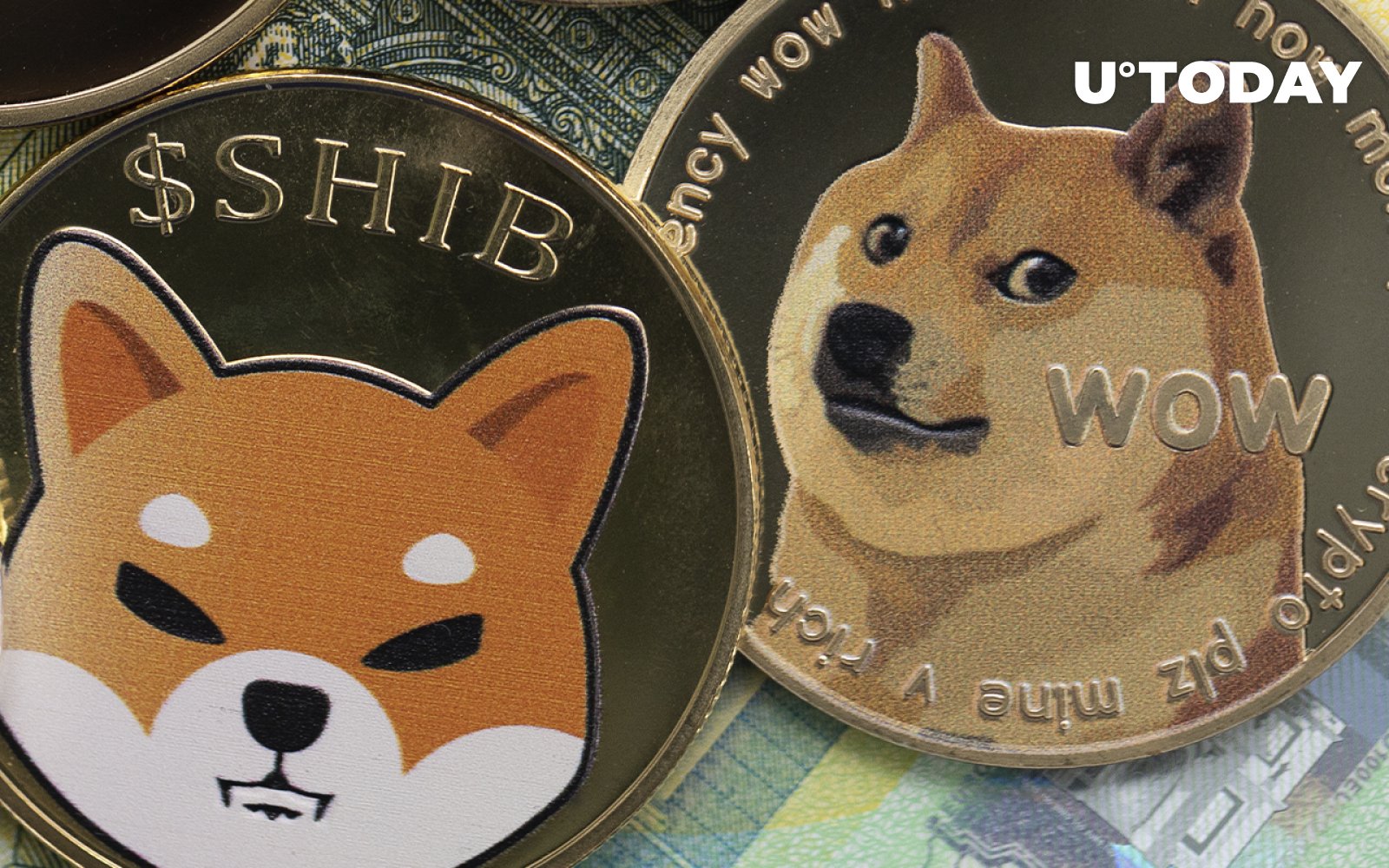 This Bitcoin-based dog coin is taking on DOGE and SHIB