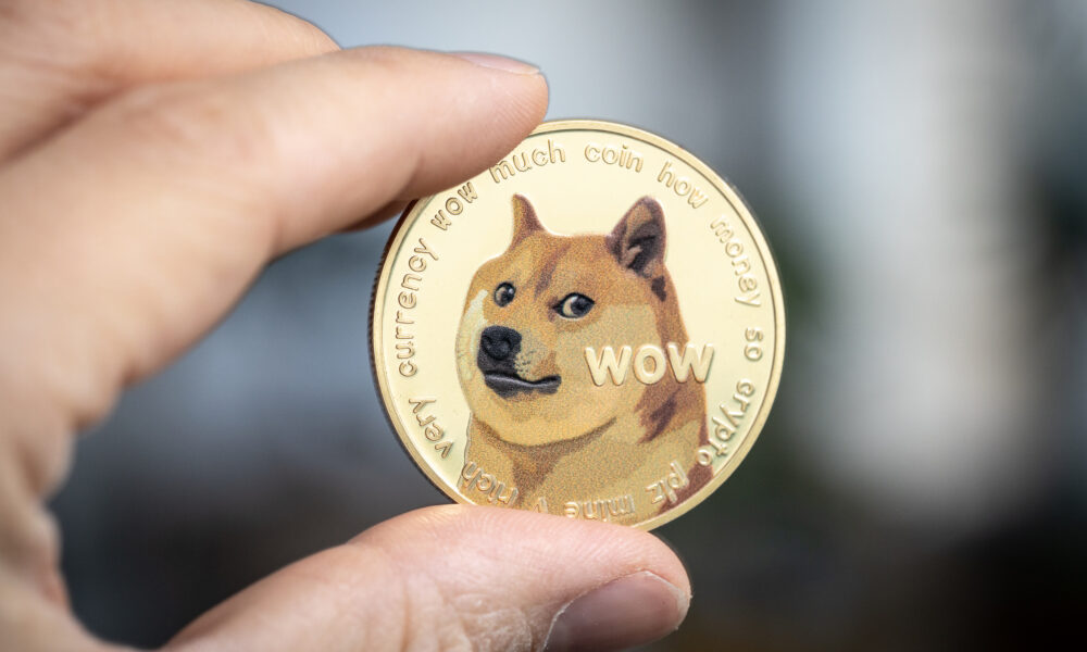 Dogecoin Has 6.69 Million Holders: SHIB vs. XRP Comparison