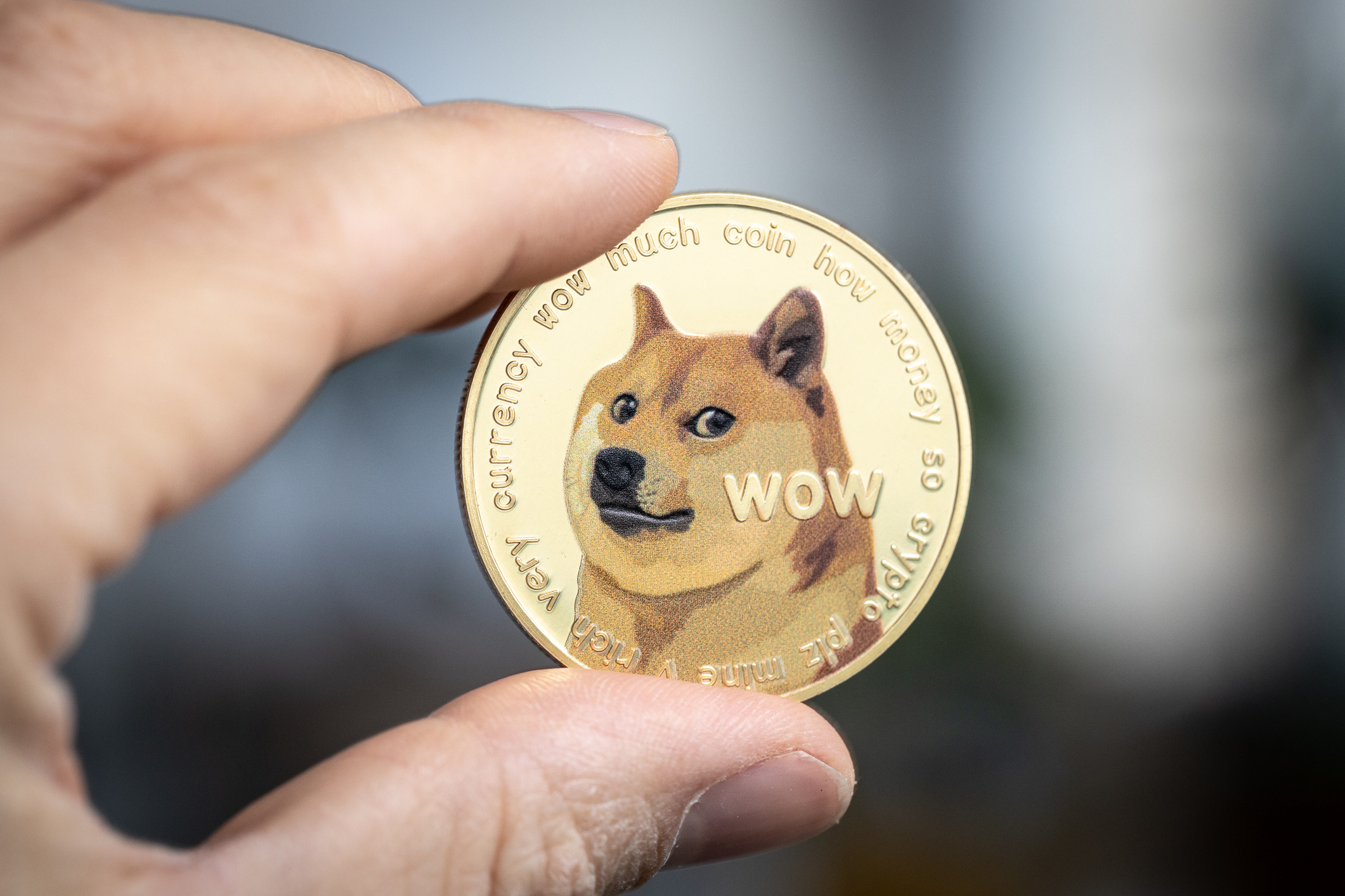 Dogecoin Has 6.69 Million Holders: SHIB vs. XRP Comparison