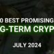 10 Best Crypto Coins for Long-Term Investment in July 2024