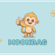 Experts elect MoonBag as the best cryptocurrency presale, surpassing Immutable X and Rats (Ordinals) in hype!