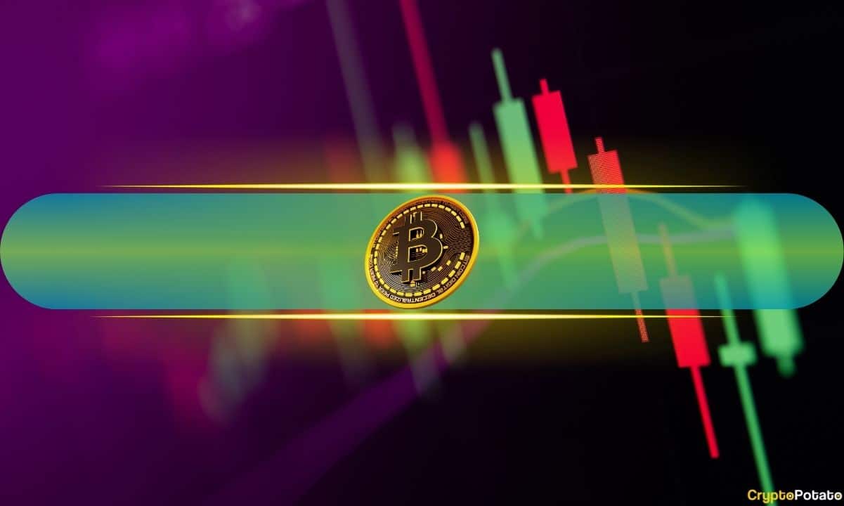 Bitcoin Recovers Above $56,000 as Altcoins Also Rebound: Weekend Watch