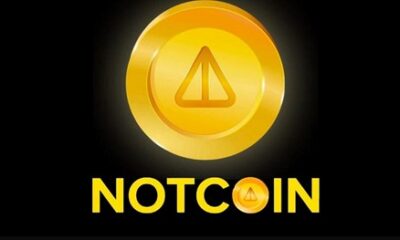 Notcoin Price Drops 52% as Hamster Kombat Breaks Two Records