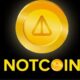 Notcoin Price Drops 52% as Hamster Kombat Breaks Two Records