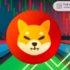 Shiba Inu Team Announces Altcoin Season Is Coming