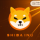 Shiba Inu's partnership with these two flagship projects aims to improve Shibarium DeFi